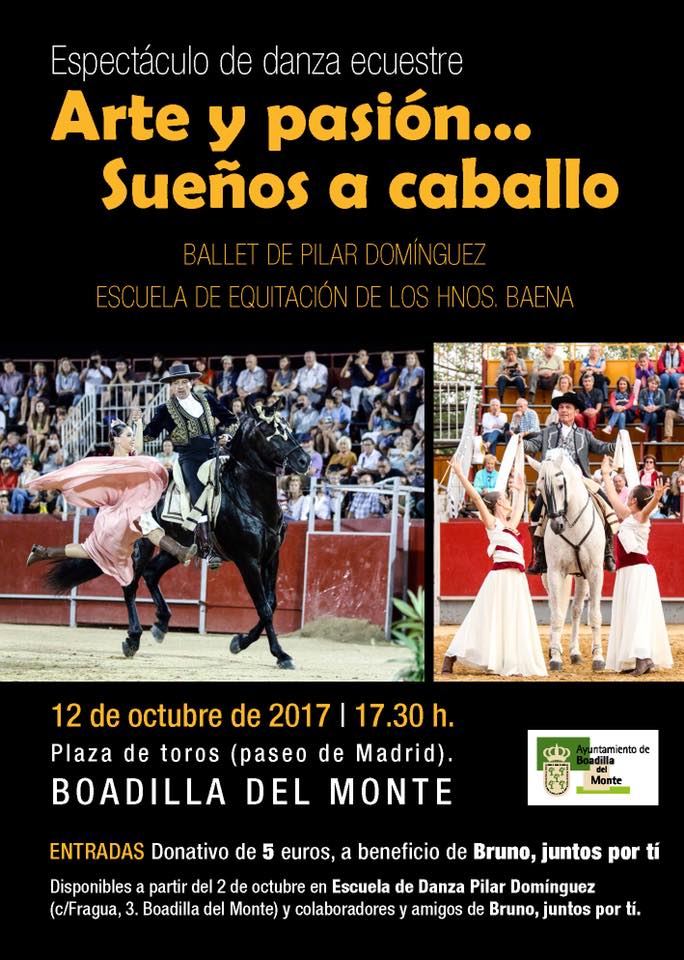 ARTE Y PASI�N... SUE�OS A CABALLO